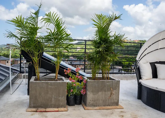 Villa Palms Rooftop